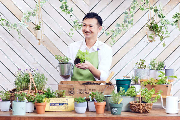 寄せ植え体験のイメージ