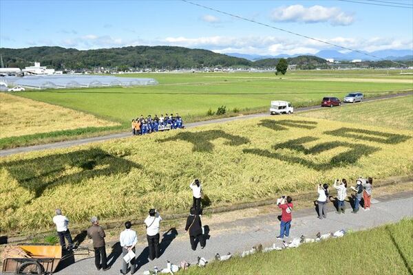 稲刈り前に「西方小１５０」と描いた田んぼアートで記念撮影をする児童ら