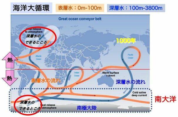 海洋大循環（渡辺豊さん提供）
