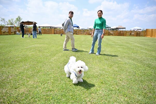 開設したばかりのドッグランで犬と遊ぶ飼い主たち＝１日午前、高根沢町宝積寺