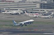 国内線苦戦、路線維持へ減便調整