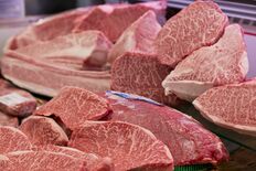 ブランド牛３頭まるごと売り尽くし　年末の「工場開き」宇都宮でも　あんず…