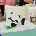 町中心部の46店舗に折り紙作品　上三川　故吉澤章さんの創作折り紙の魅力…