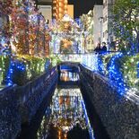 うつのみやイルミネーションが開幕　釜川沿いやオリオン通り、県都の夜を幻…