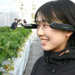 あまおう育てる人を育てる　新規就農者お助けシステムも
