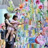 子どもたちの願い短冊に　七夕前に大田原で　天の川イメージの「アンブレラスカイ」も
