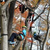 錦秋に手が届きそう　那須塩原でツリークライミング　小学生、樹上で紅葉狩り