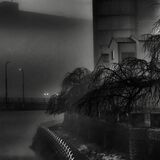 深い朝霧に包まれた市中心部とらえる　古内さん(宇都宮)に金賞　紙上写真コンテスト３月分　下野写真協会