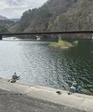 アユ釣り２５日解禁