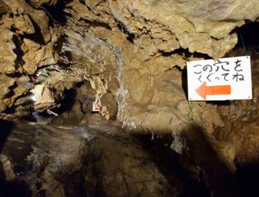 　大岳鍾乳洞の洞内＝東京都あきる野市