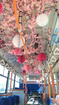 桜の装飾が施された「さくらバス」の車内