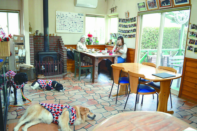 暖炉がありみんなリラックス。犬たちもくつろげるスペースが十分