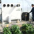 地下水活用しハウス温度調節　農研機構が県いちご研究所で実証　温室効果ガス削減効果、水資源豊富な県内で導入期待も