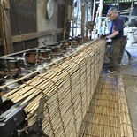 栃木でよしず作り最盛期　熟練の技で夏支度