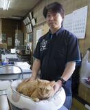 保護猫警備隊見守り中