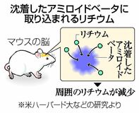 リチウム投与、認知症抑制