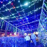 鮮やかな光のトンネル　群馬・妙義山天空のイルミネーション