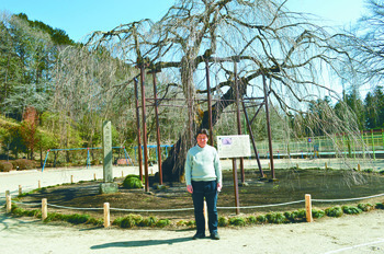 月イチtochigiびと桜を守る 育てる Aspo特集 下野新聞 Soon スーン