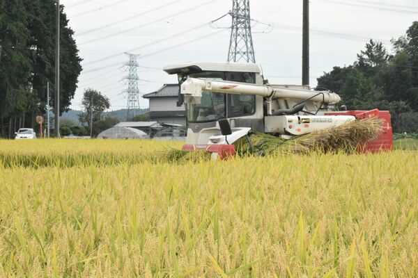 コンバインで刈り取られる「夢ささら」の稲
