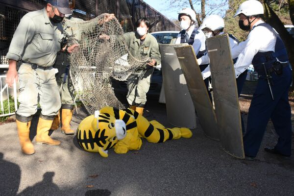 麻酔銃で眠らせたトラを捕獲する訓練中の動物園職員と警察官＝２日午後２時25分、宇都宮市上金井町