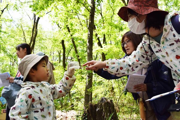 里山で虫などを観察する親子ら