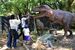 とちぎわんぱく公園でティラノサウルスと写真撮影する家族＝５日午前９時50分、壬生町国谷