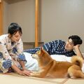 那須塩原に愛犬同伴専用宿がオープン　「わんわんリゾート」関東初進出　ドッグラン、おやつビュッフェも
