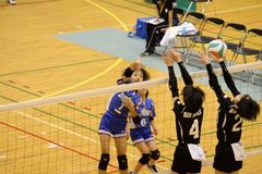 関東ブロックスポーツ少年団競技別交流大会（バレーボール）