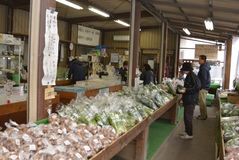 県外ゴルファーにも人気　三好農産物直売所　ＪＡ佐野
