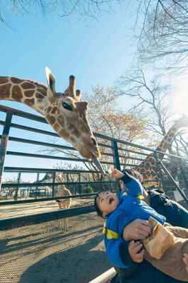 優秀賞のｋｕｍｉ．ｃｈａｎ＿ｓｎａｐさんのフォト作品