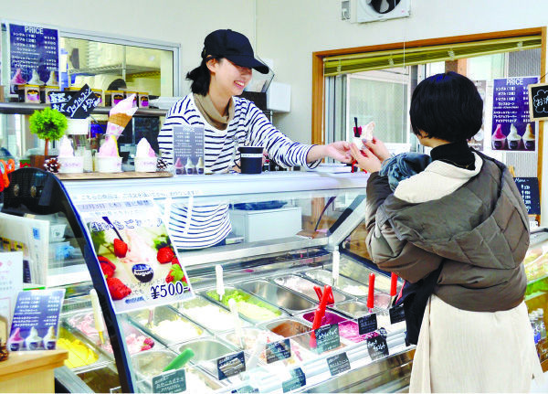 常時10種類以上のジェラートが販売されている