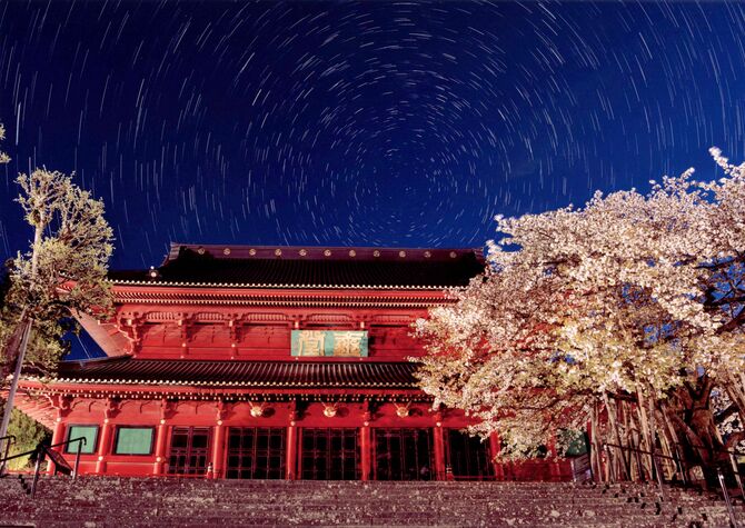 「輪廻の桜」北山建穂（日光）