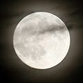 栃木県内の夜空でも中秋の名月　雲の隙間からおぼろげに　「気軽に肉眼でも観察を」