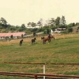 茂木で愛されたタサブローオー競走馬育成牧場　多数の優駿輩出、育んだＧ１…