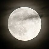 栃木県内の夜空でも中秋の名月　雲の隙間からおぼろげに　「気軽に肉眼でも観察を」