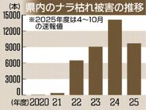 ナラ枯れ 初の減少か