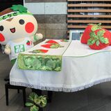 「いちご王国」記念イベントで初のピアノ演奏会　栃木県庁で19日　ストリートピアノも