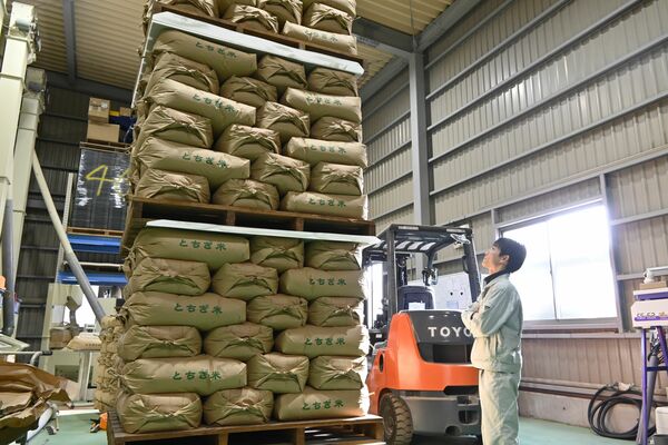 倉庫で山積みになったコメを見上げる岡田さん=12月上旬、さくら市小入