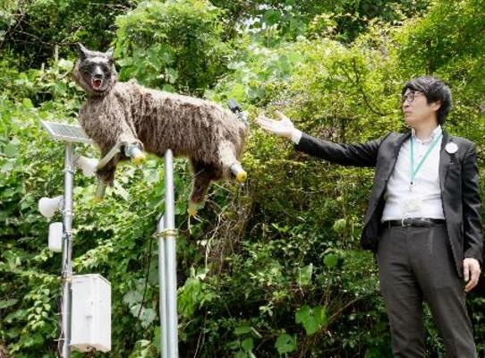 ファミリーマート日野屋黒保根店の脇に設置した、野生動物撃退装置「モンスターウルフ」=24日午前、群馬県桐生市