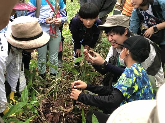 那須平成の森ではインタープリターとともに森を探索できる
