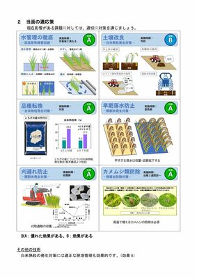 県が作成した気候変動適応ガイドの概要版