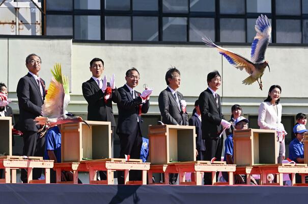 石川県羽咋市で行われた国の特別天然記念物トキの放鳥。個体を識別するために色付けされた羽を広げ、能登の空へ飛び立った＝31日午後
