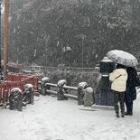栃木県各地で降雪　通行止めやＪＲ線運転取りやめ　関連情報を集約