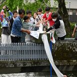 地元の子どもらが色鮮やかなニシキゴイ放流　栃木の巴波川　とちぎ蔵の街L…