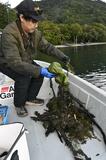 釣り文化残す思い実感