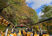 日光で紅葉バス運行