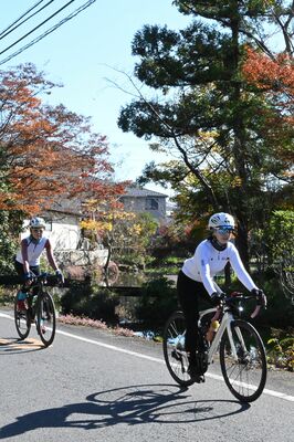 自然を堪能しながらサイクリングを楽しむ参加者たち