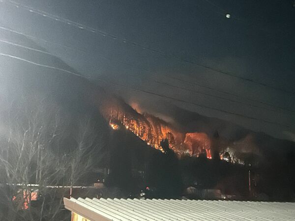 日光の山林火災（市民提供）