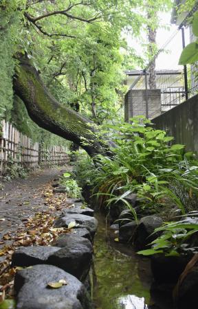 　はけの小路＝東京都小金井市