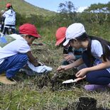 ニッコウキスゲを守ろう　小学生25人が補植体験、自然の尊さ学ぶ　日光